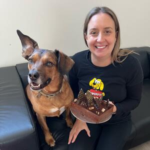 Wishing our wonderful Vanessa a very Happy 14th Birthday!! Well, 14 Birthdays shared here with us anyway 😂  She was a sprightly 22 year old when she joined Scruffys! So we will leave you to do the math 😂 
Vanessa is very much enjoying her day here with her four legged friends and is about to tuck in to her @mrsjonesthebaker Hazelnut Praline cake.
We love Ness and would be lost without her! 🎈🥳

- [ ] #scruffysdogs #scruffysdogsofinstagram #scruffyssquad #scruffysdoggydaycare #scruffys #scruffyspups #dogsofthenorthernbeaches #northernbeachesdogs #northernbeacheslocal #ilovemydog #weloveourjob #dogoftheday #doglovers #brookvale #dogsofsydney #dogsofinstagram #howmuchfuncanoneplacebe #wherefriendshipsaremade #wheremannersaretaught #daycare #doglover #dogphotography