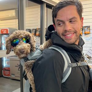 Now this is home time goals! 
Miss Pip is all kitted out for her cruise home with her Mum and Dad on their motorbike after a fun time with her friends, enjoying the sights, sounds and breeze of the wonderful Beaches! 
This kid rocks her goggles! 
- [ ] #scruffysdogs #scruffysdogsofinstagram #scruffyssquad #scruffysdoggydaycare #scruffys #scruffyspups #dogsofthenorthernbeaches #northernbeachesdogs #northernbeacheslocal #ilovemydog #weloveourjob #dogoftheday #doglovers #brookvale #dogsofsydney #dogsofinstagram #howmuchfuncanoneplacebe #wherefriendshipsaremade #wheremannersaretaught #daycare #doglover #dogphotography 
#coolchick #cruising